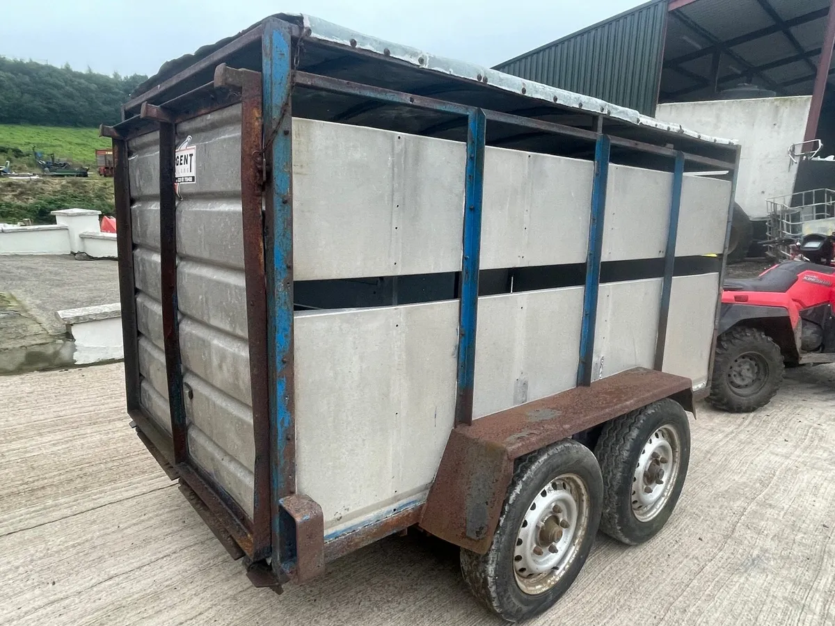 Calf/sheep trailer 9ft x 5ft - Image 1