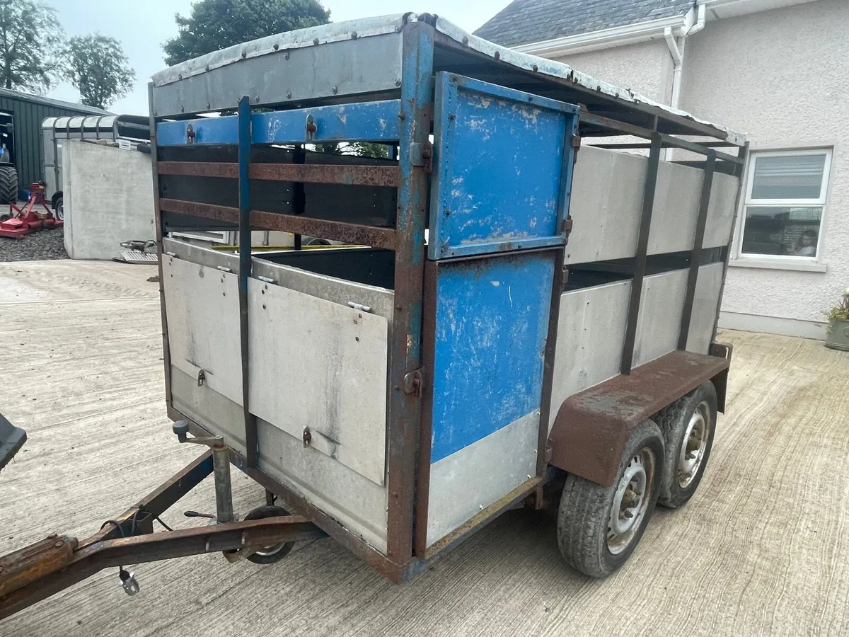 Calf/sheep trailer 9ft x 5ft - Image 3
