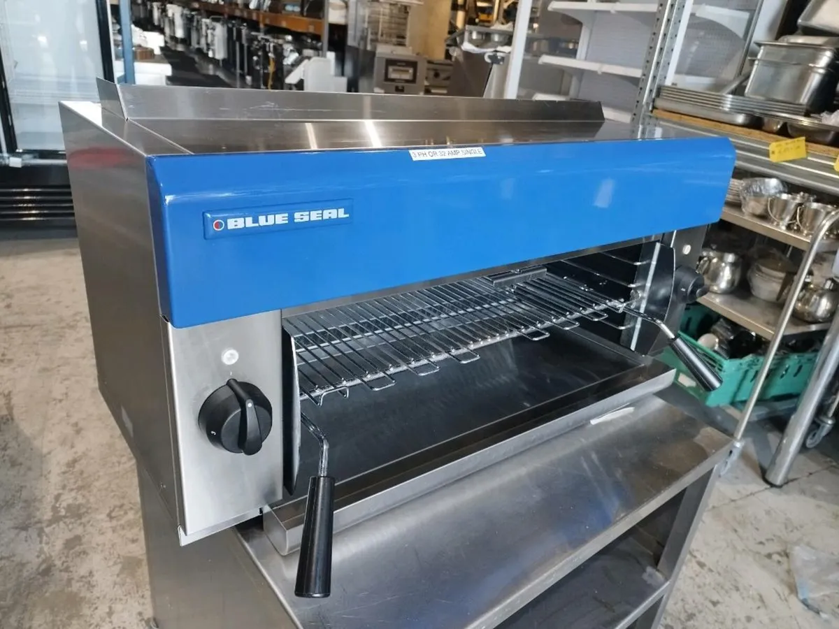 Blue seal electric salamander - Image 1