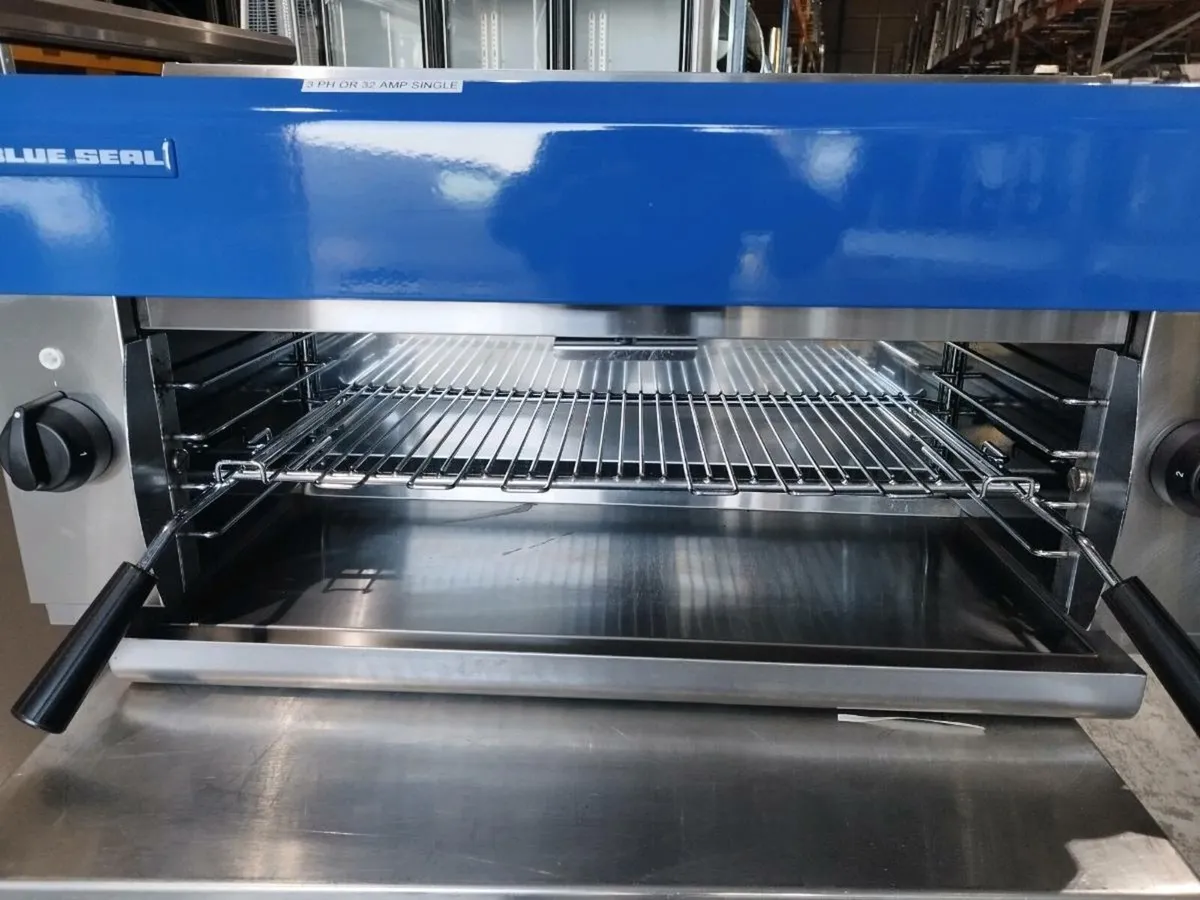 Blue seal electric salamander - Image 2