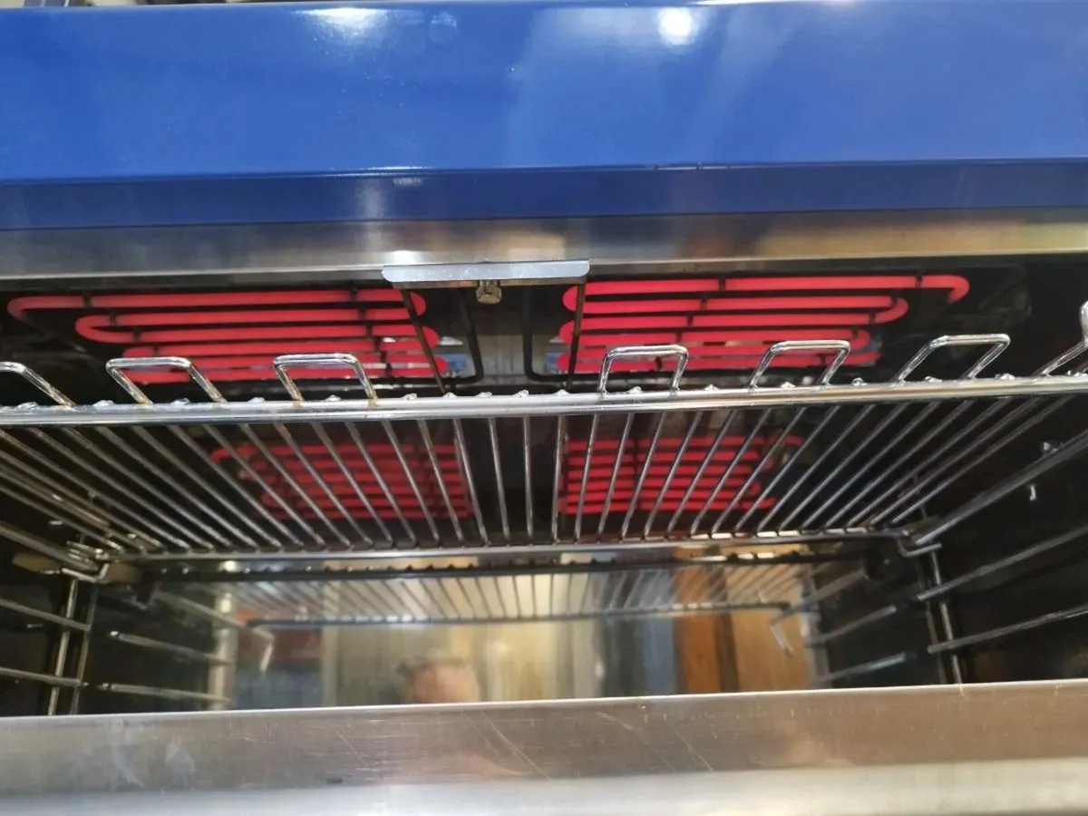 Blue seal electric salamander - Image 4