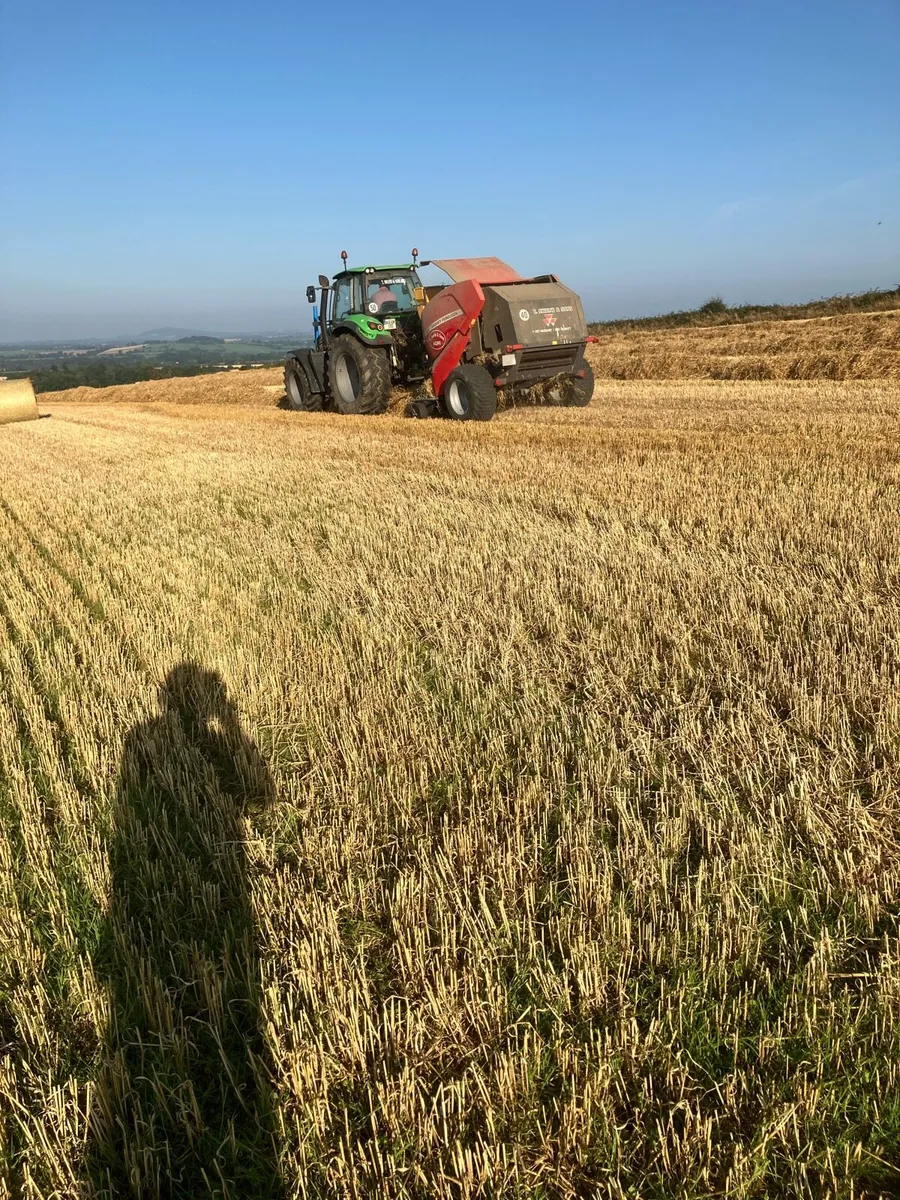 Straw and Hay - Image 1