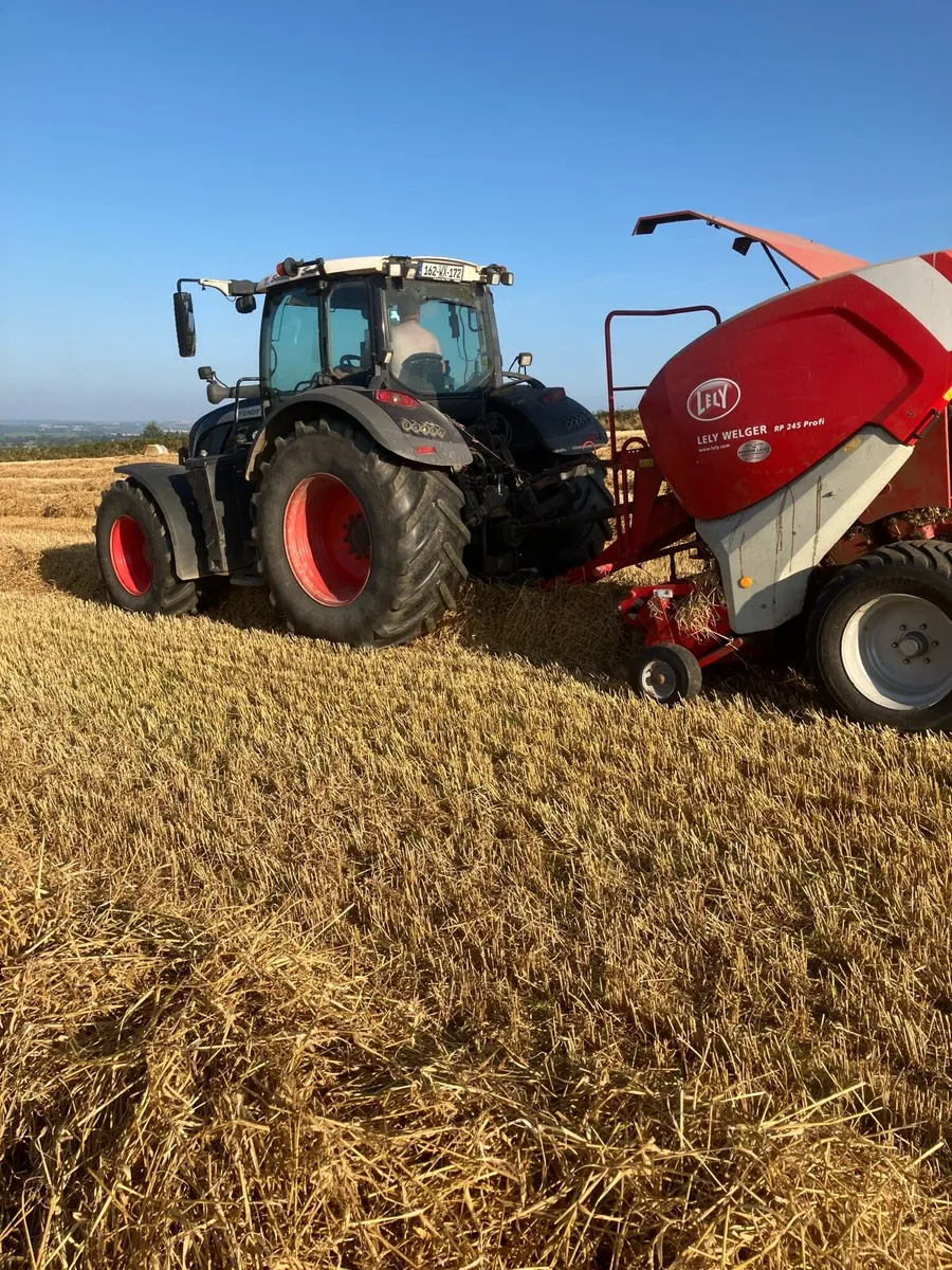 Straw and Hay - Image 3