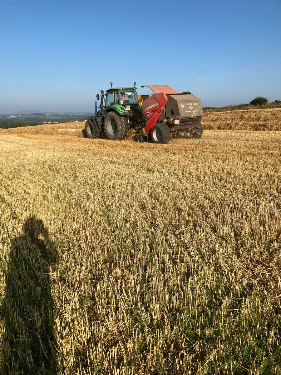 Straw and Hay - Image 2