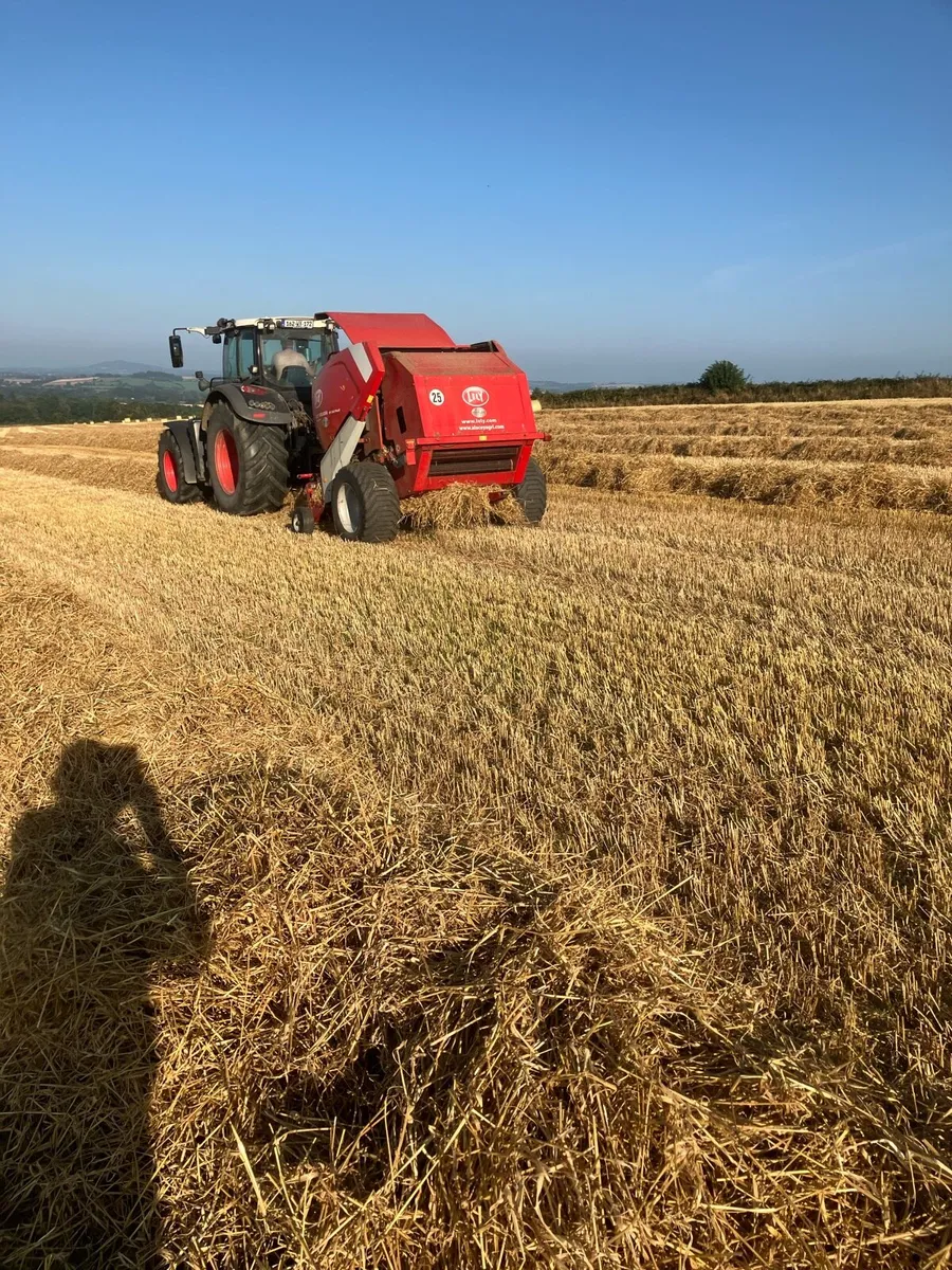 Straw and Hay - Image 4