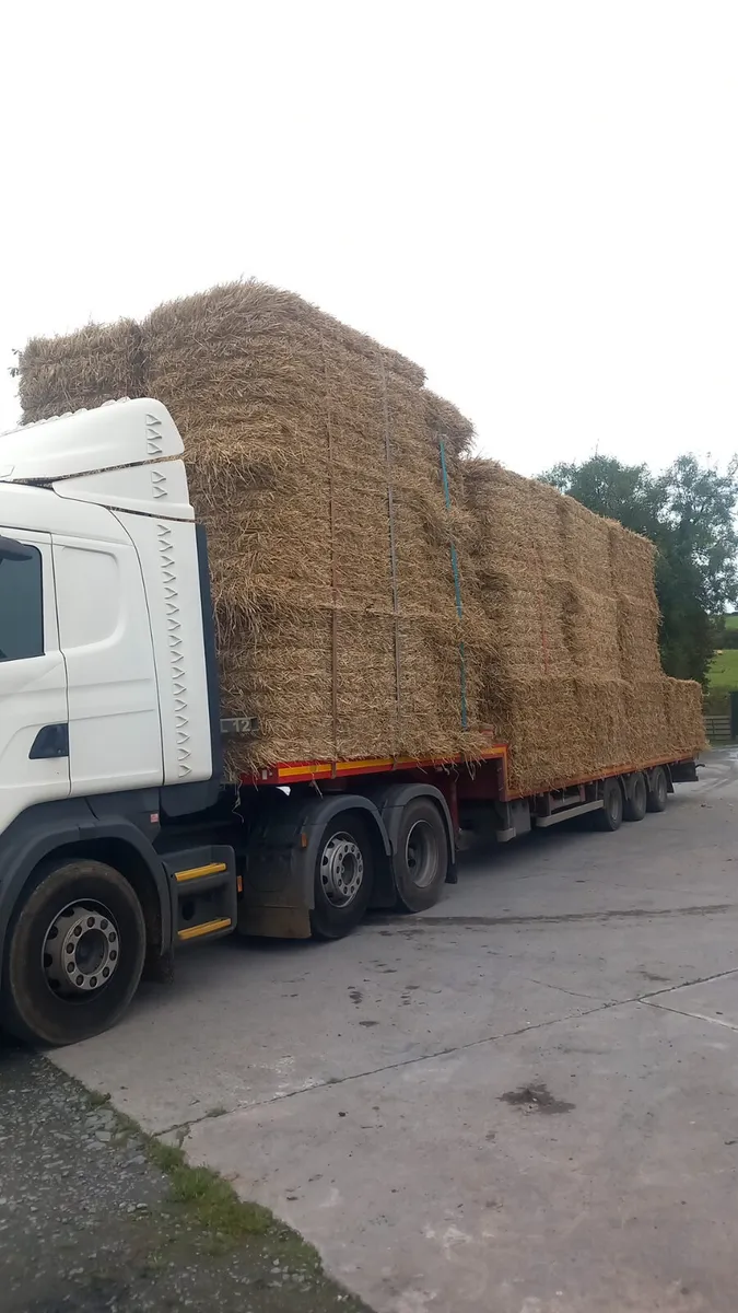 Barley & wheat straw 8x4x4
