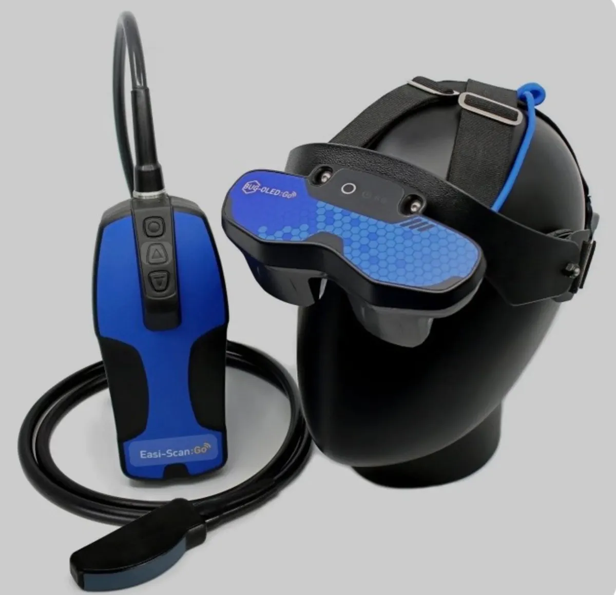 Bovine Pregnancy scanning service - Image 2