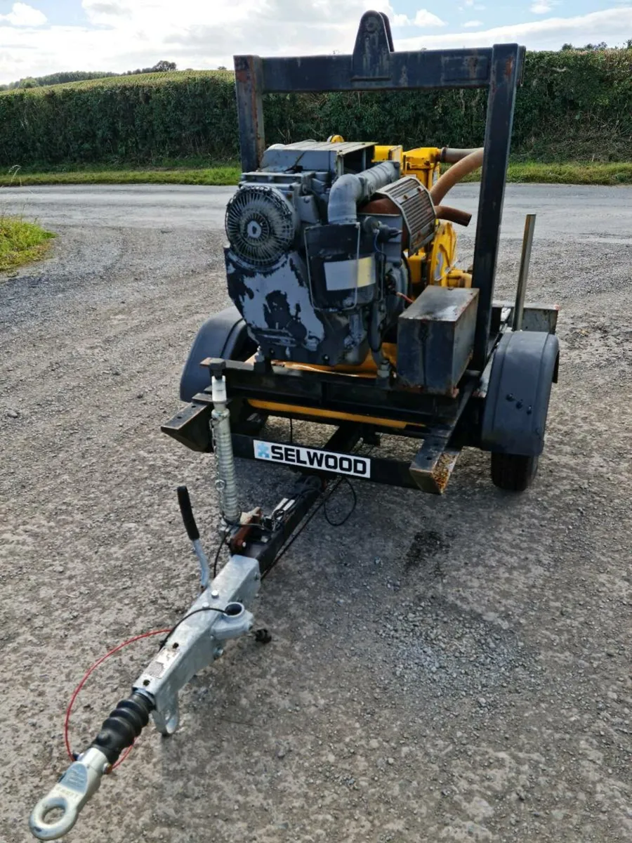 Selwood water pump - Image 1