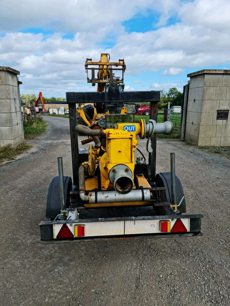 Selwood water pump - Image 3