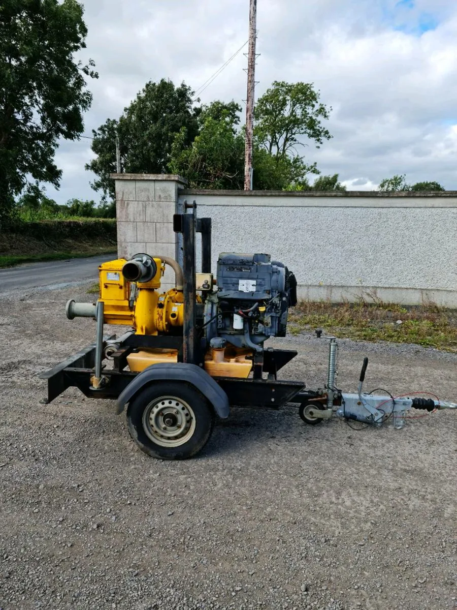 Selwood water pump - Image 4