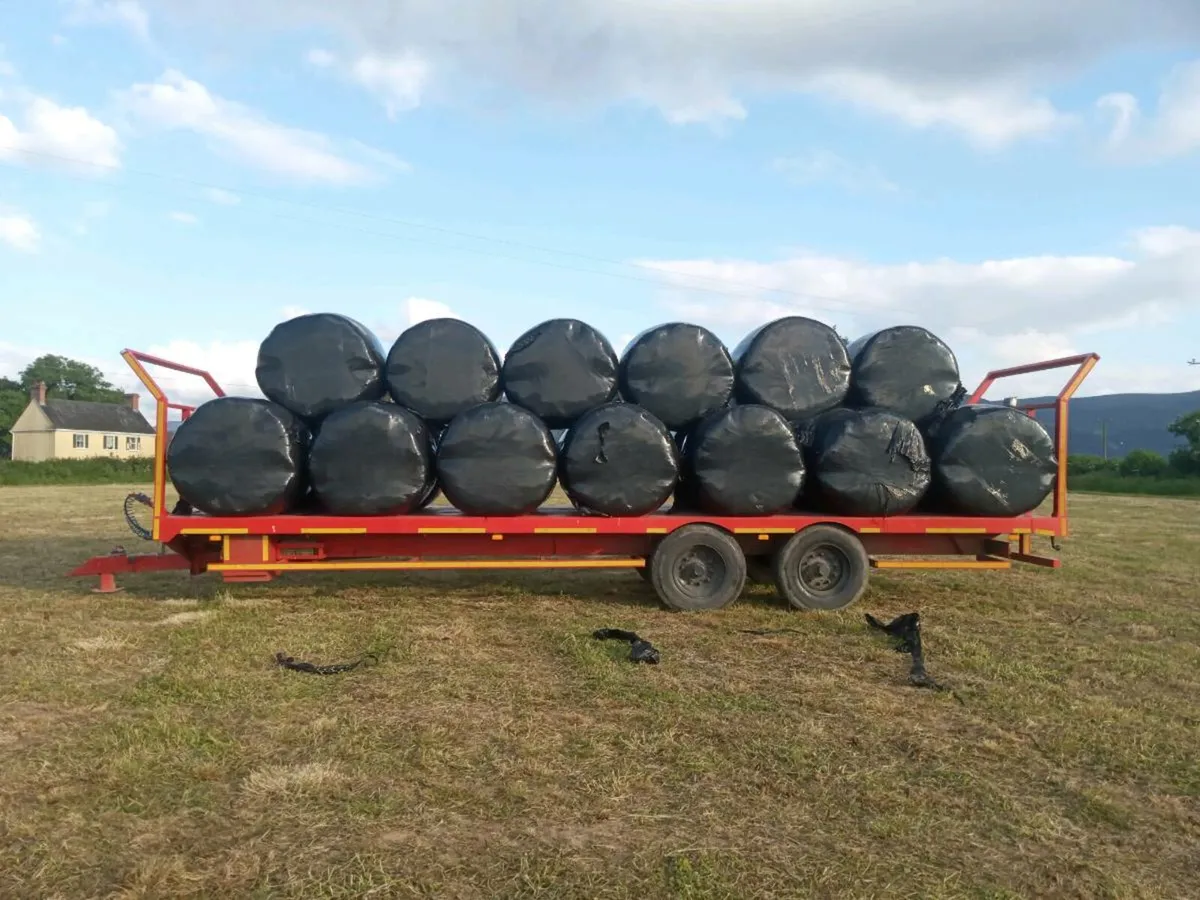 Hay , Haylage , Wrapped Straw and Silage for sale. - Image 2