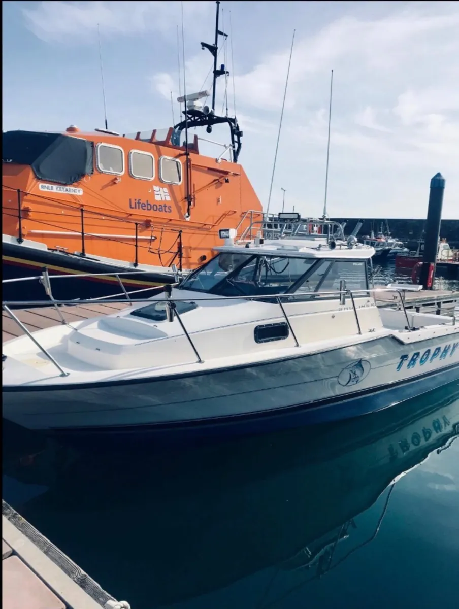 Bayliner trophy 2352 + trailer - Image 3