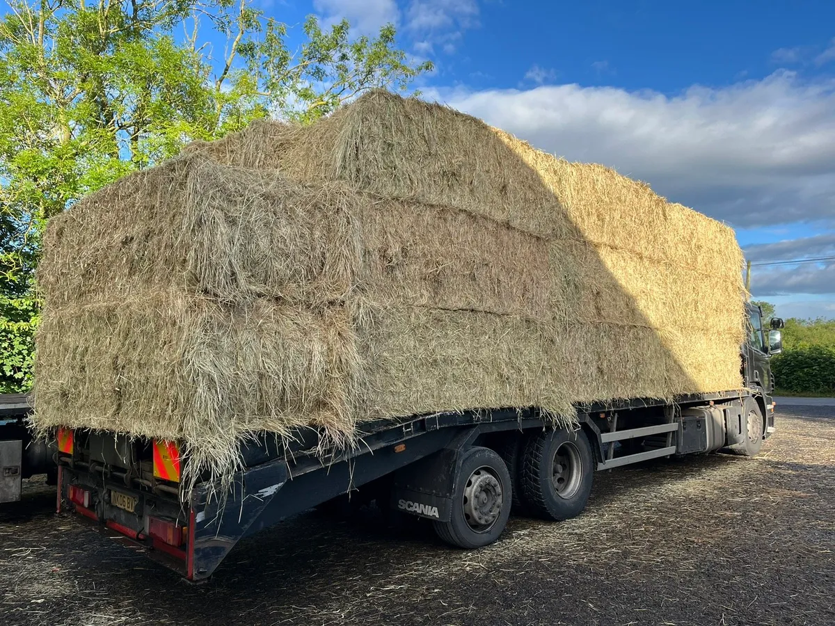 Rigid Lorry loads of Hay Delivered North and South - Image 3
