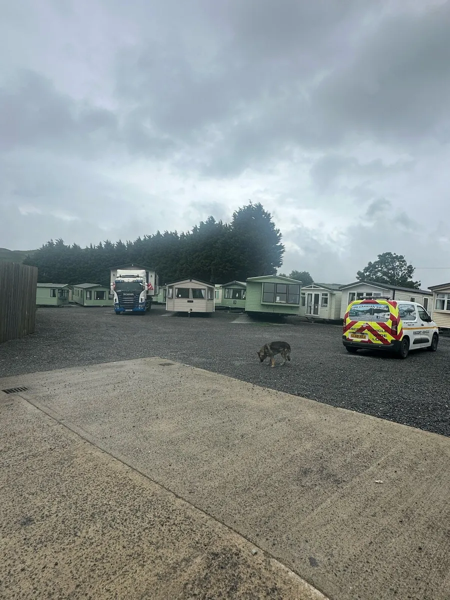 All stock reduced one week only all delivery - Image 1