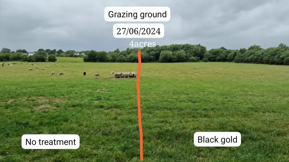 All Year round Liquid fertilisers - Image 3