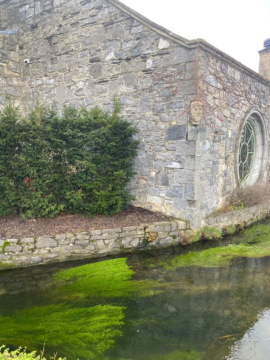 Old Galway limestone 6” Kerbs - Image 4