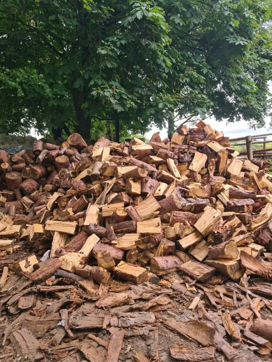 Firewood - Image 2