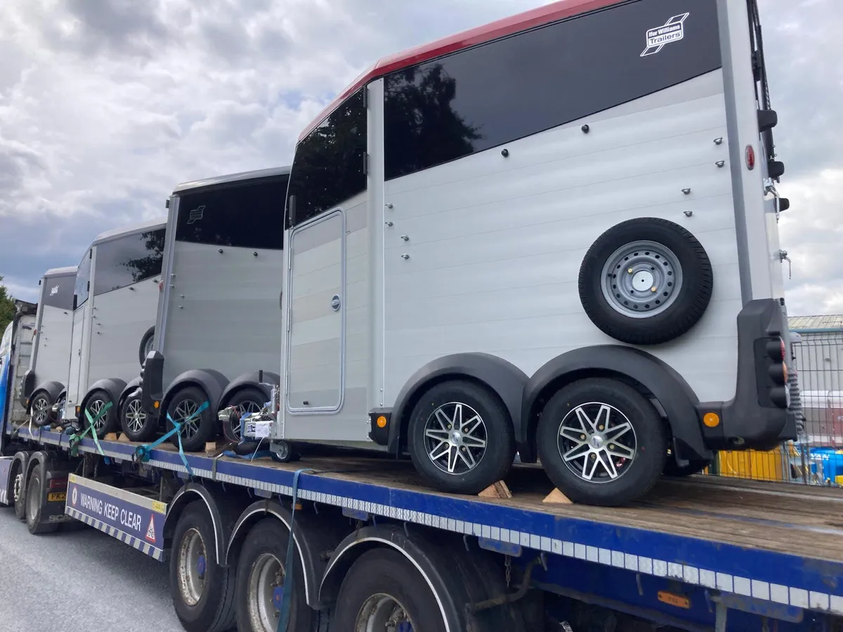 IN STOCK New Ifor Williams HBX506 Horseboxes