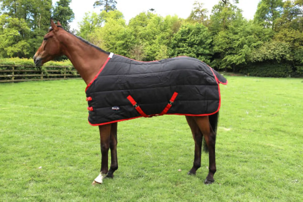 BREEZE UP Heavy Stable Rug - Image 1
