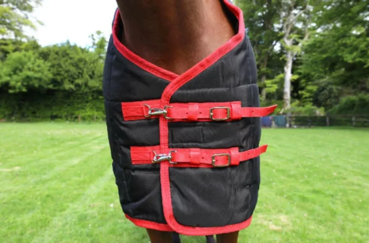 BREEZE UP Heavy Stable Rug - Image 2