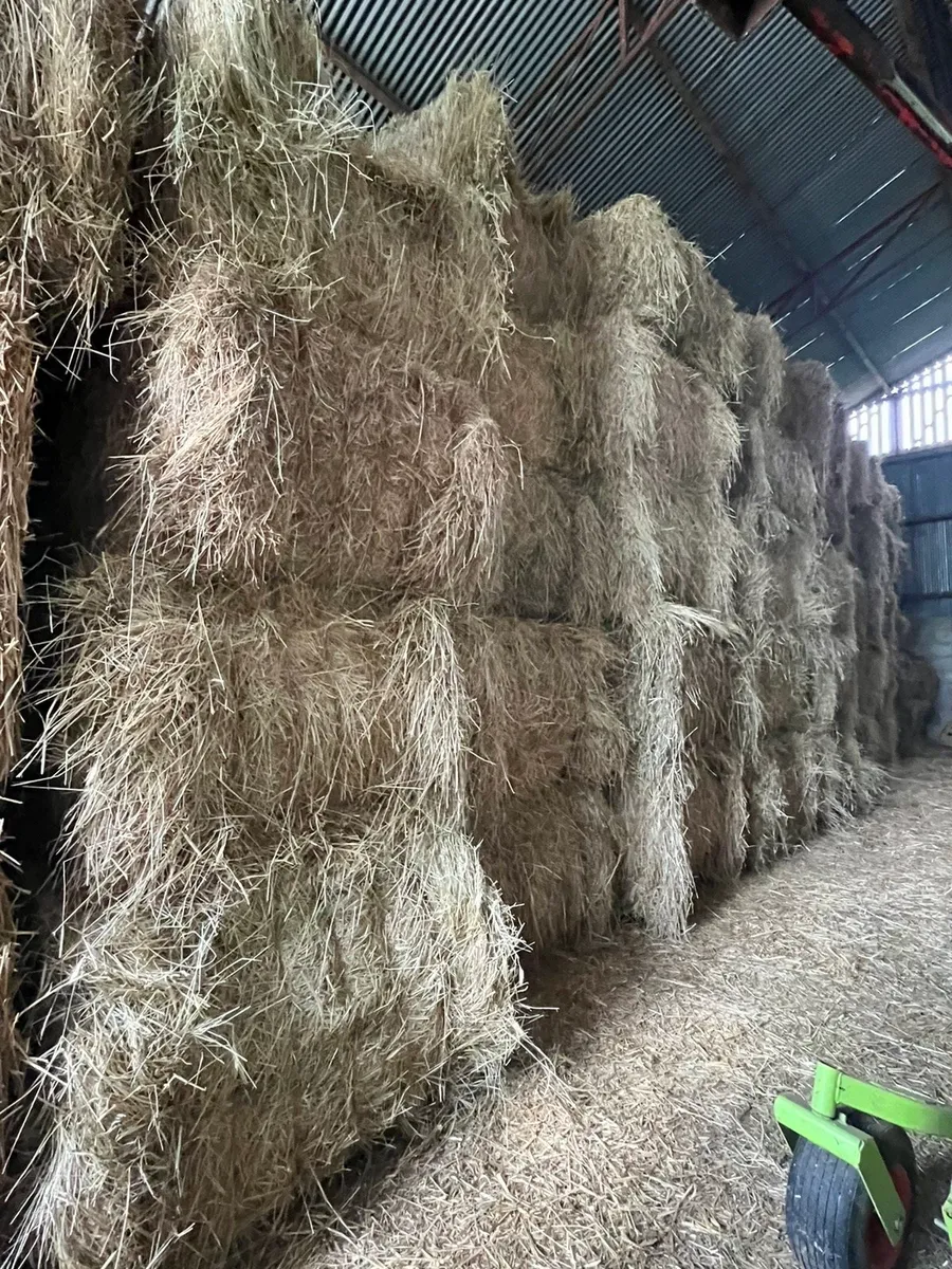 Rigid Lorry loads of Hay Delivered North and South - Image 4