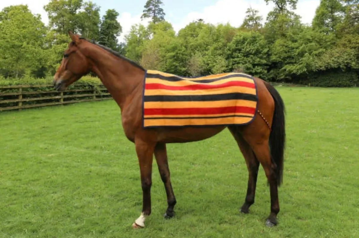 100% Wool Newmarket 1/4 Sheet - Image 1