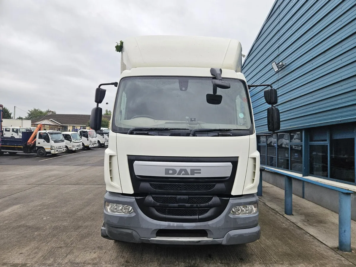 DAF LF 55 220 CURTAINSIDE - Image 2
