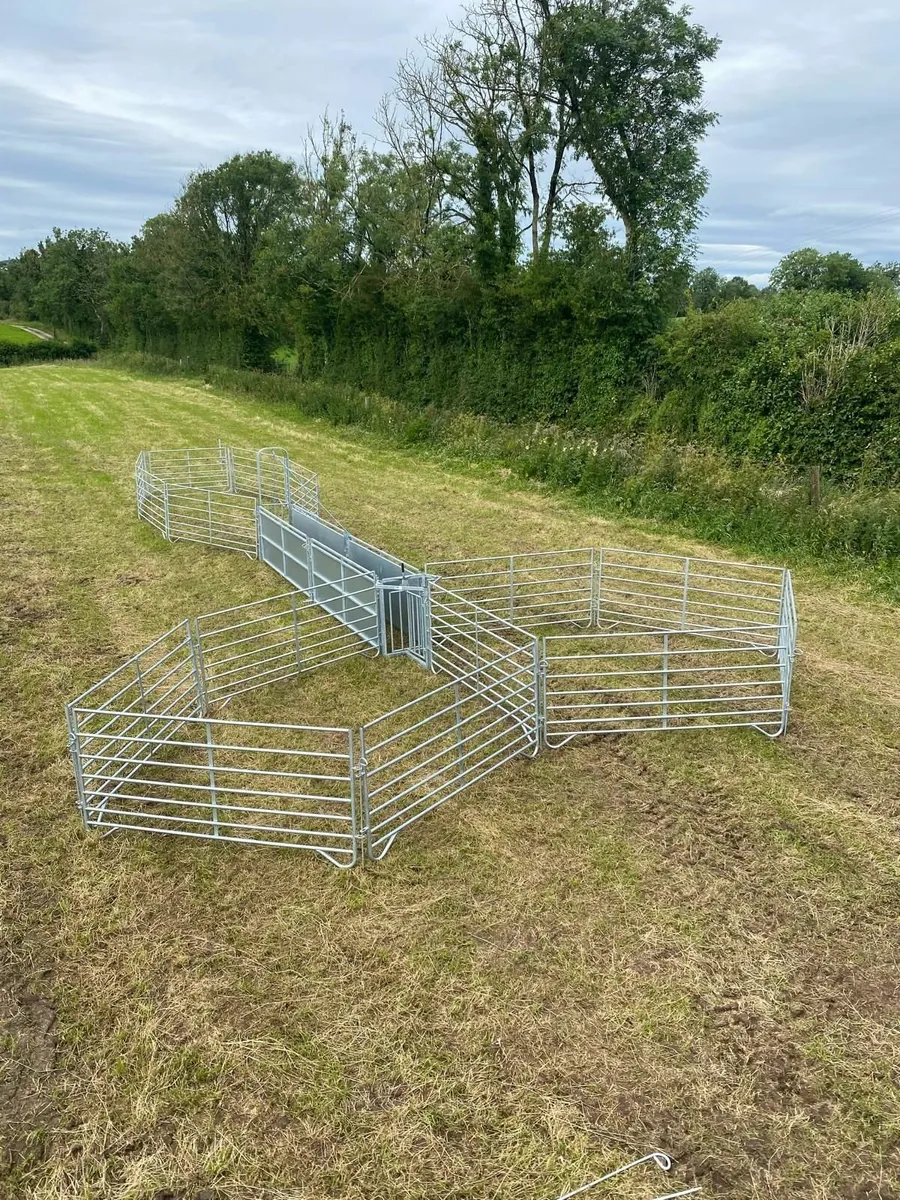 Portable Sheep Races. Tailor to suit your needs - Image 1