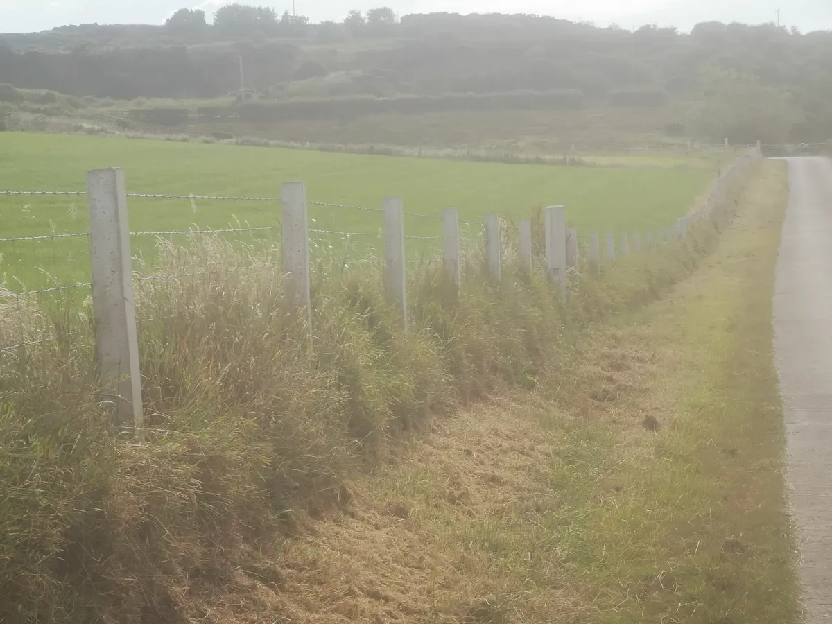 Moore Concrete Fence posts - Image 3
