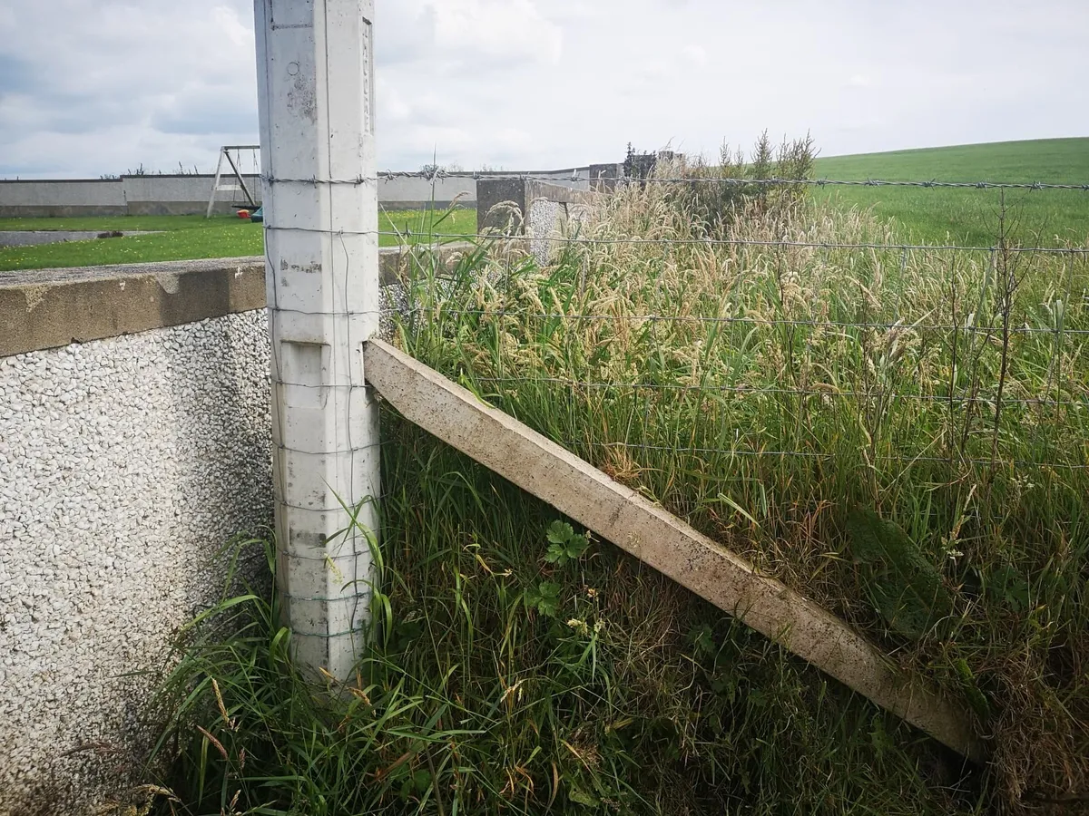 Moore Concrete Fence posts - Image 4