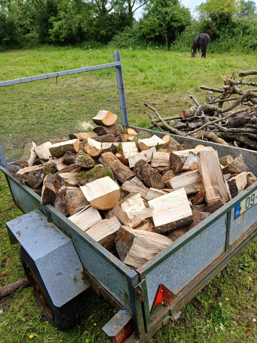 Ash and hardwood trailer or bags 5euro - Image 2