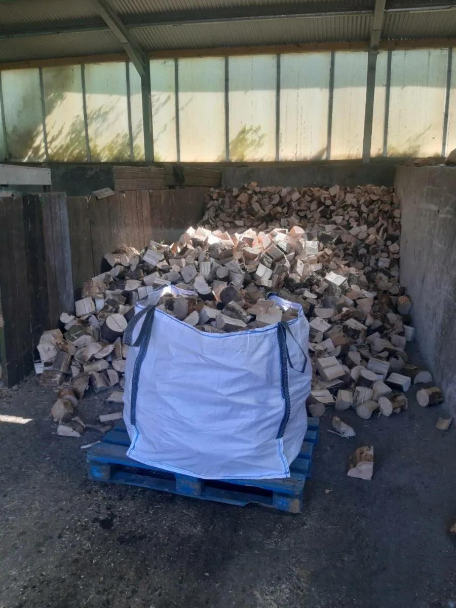 Firewood - Image 2