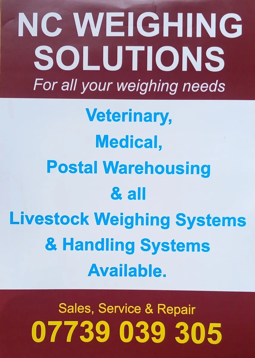 Weighing scales - Image 4