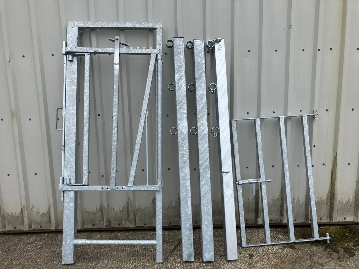 cattle crush - Image 1