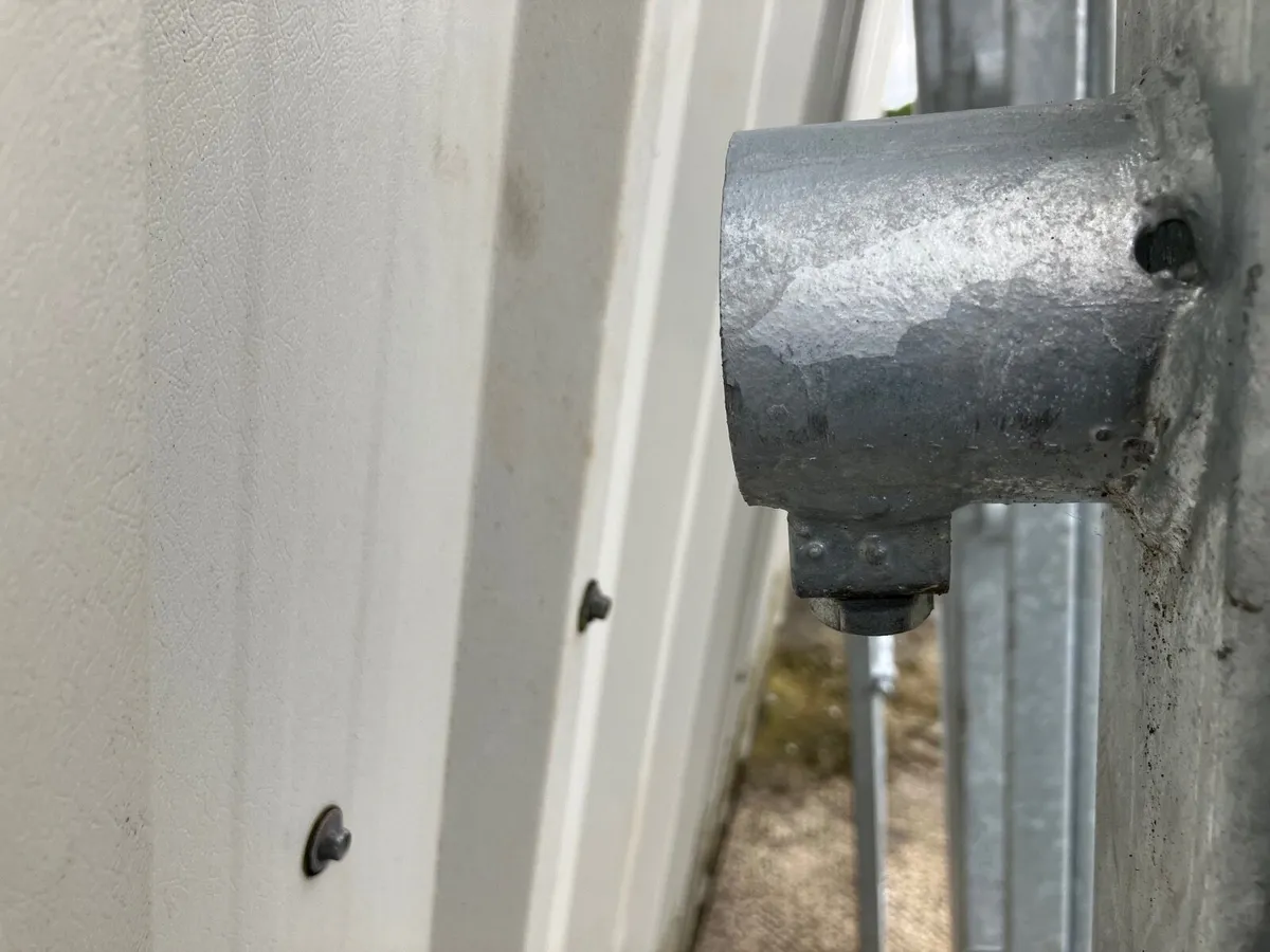 cattle crush - Image 2