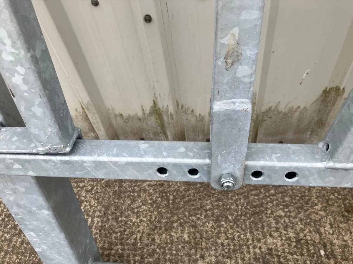 cattle crush - Image 3