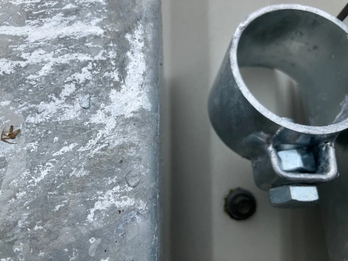 cattle crush - Image 4