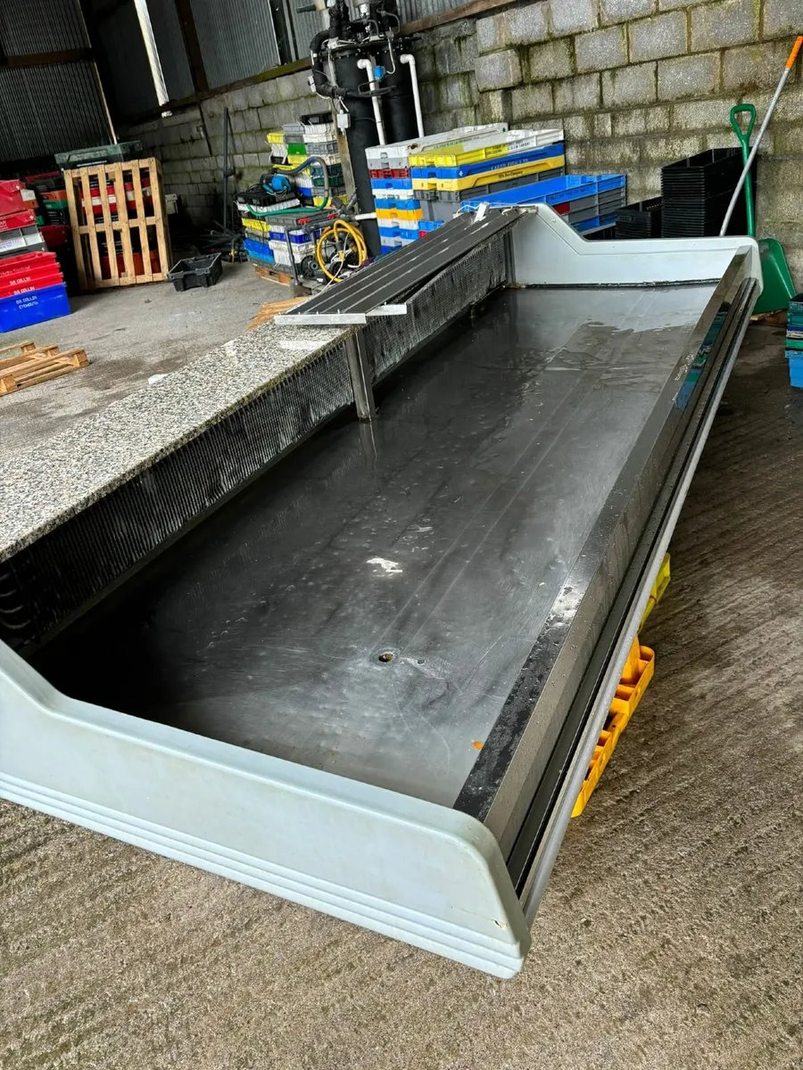 Refrigerated display as new. 400 - Image 3