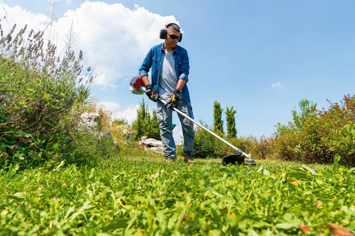 Oleo Mac 250S Brushcutter / Strimmer - Image 4