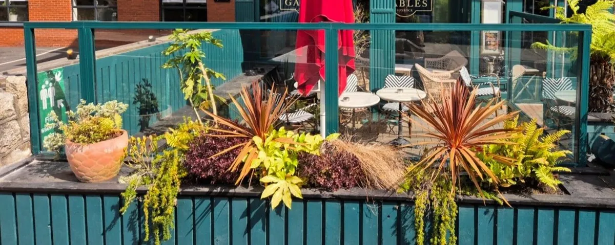 Glass tarrace screens and doors - Image 2