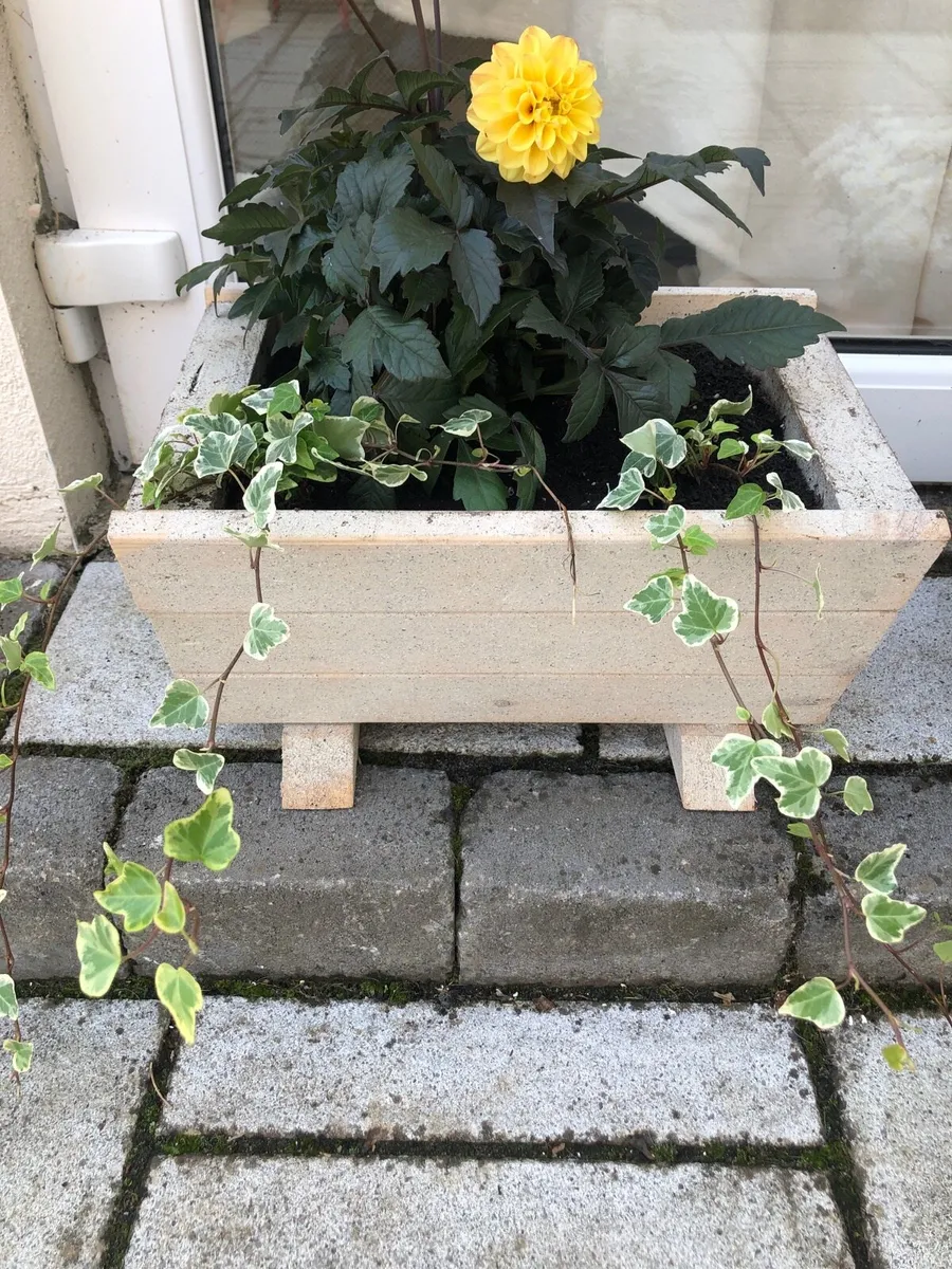 Plant boxes - Image 3