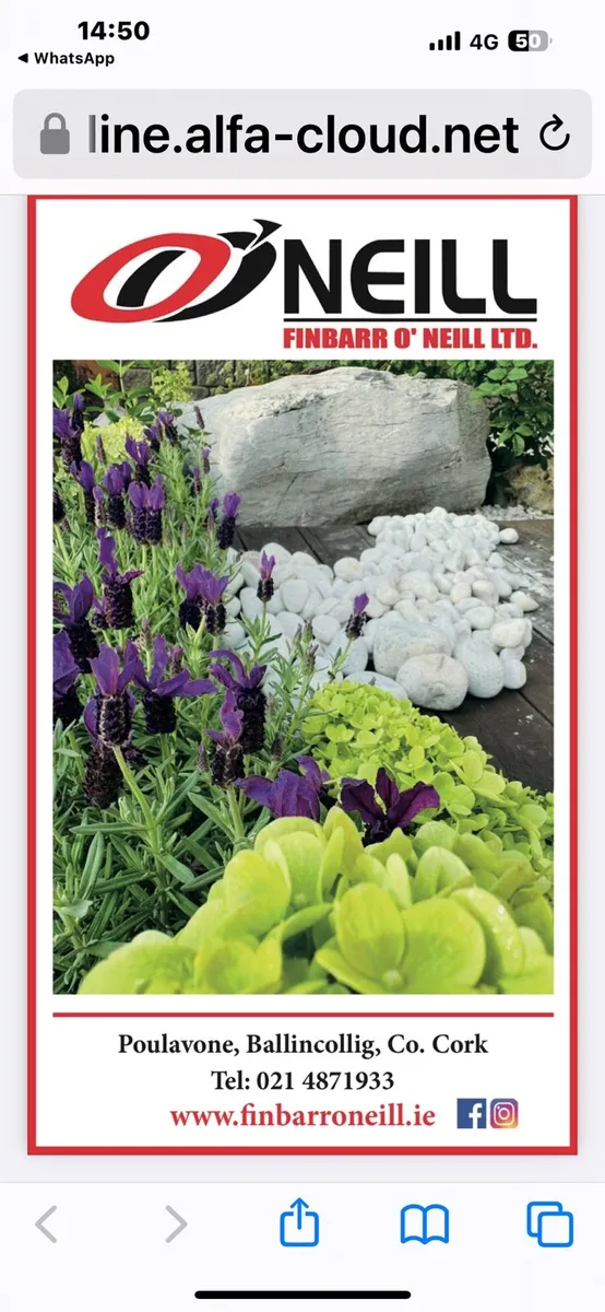 Memorial stones, polished grave pebbles - Image 1