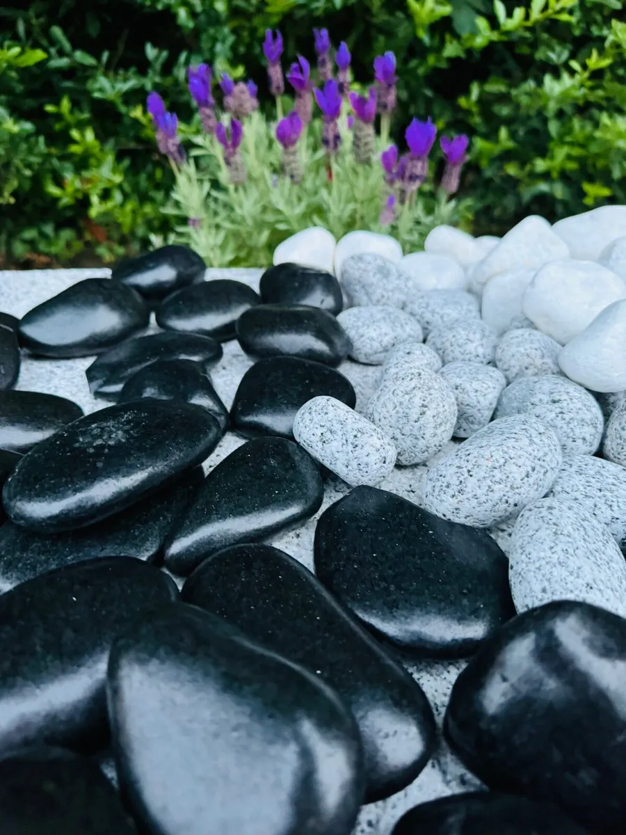 Polished cobbles black polished cobbles, stone. - Image 1
