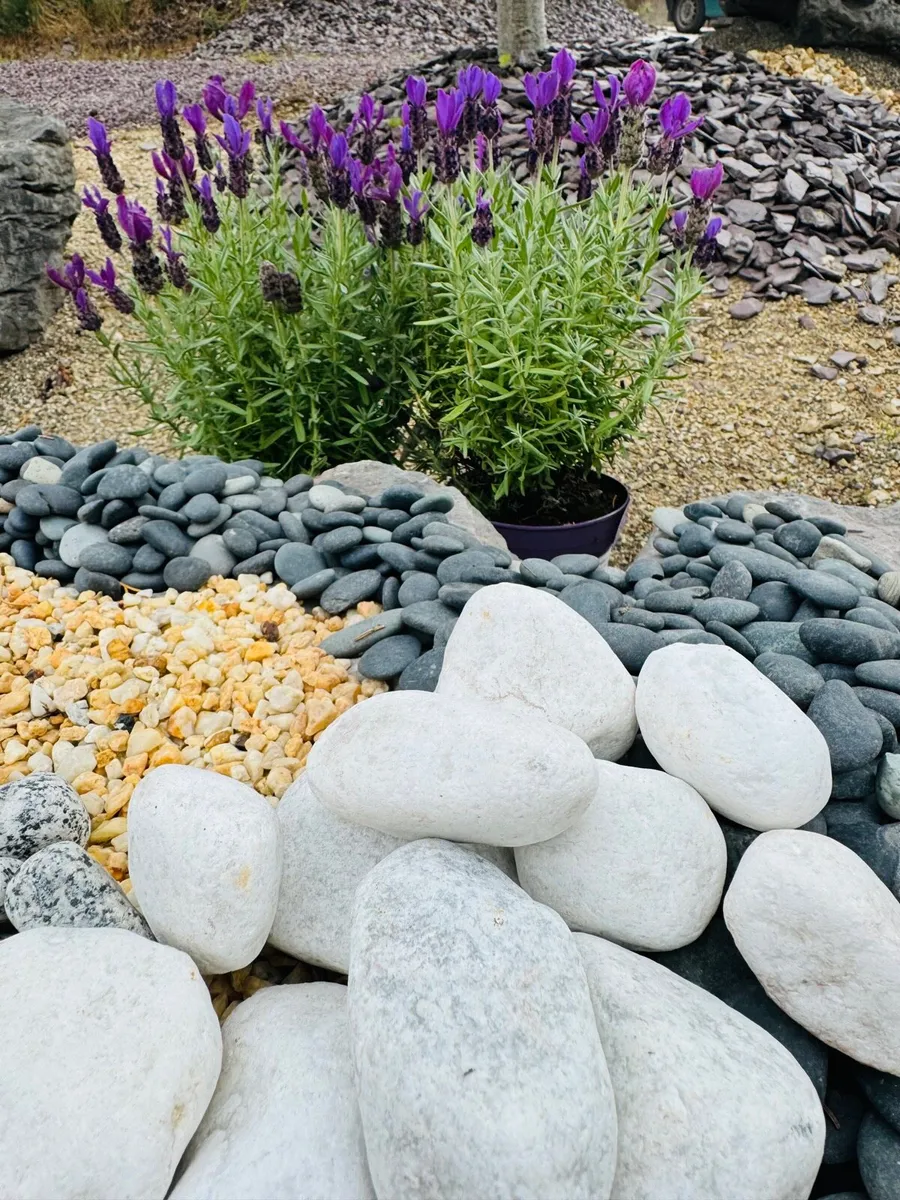 Polished cobbles black polished cobbles, stone. - Image 2