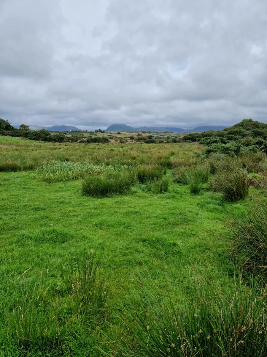 Quad contracting services - Image 4