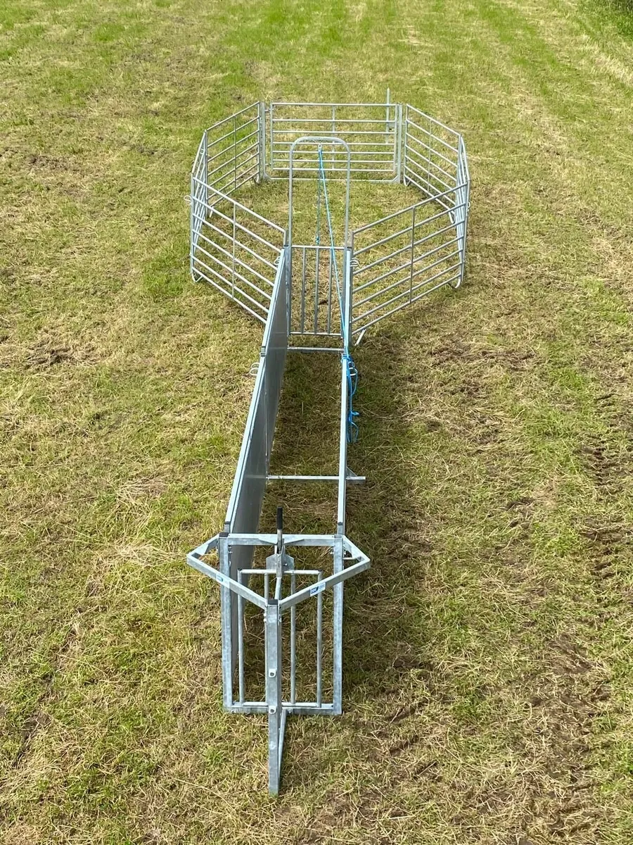 Portable Sheep Races. Tailor to suit your needs - Image 4