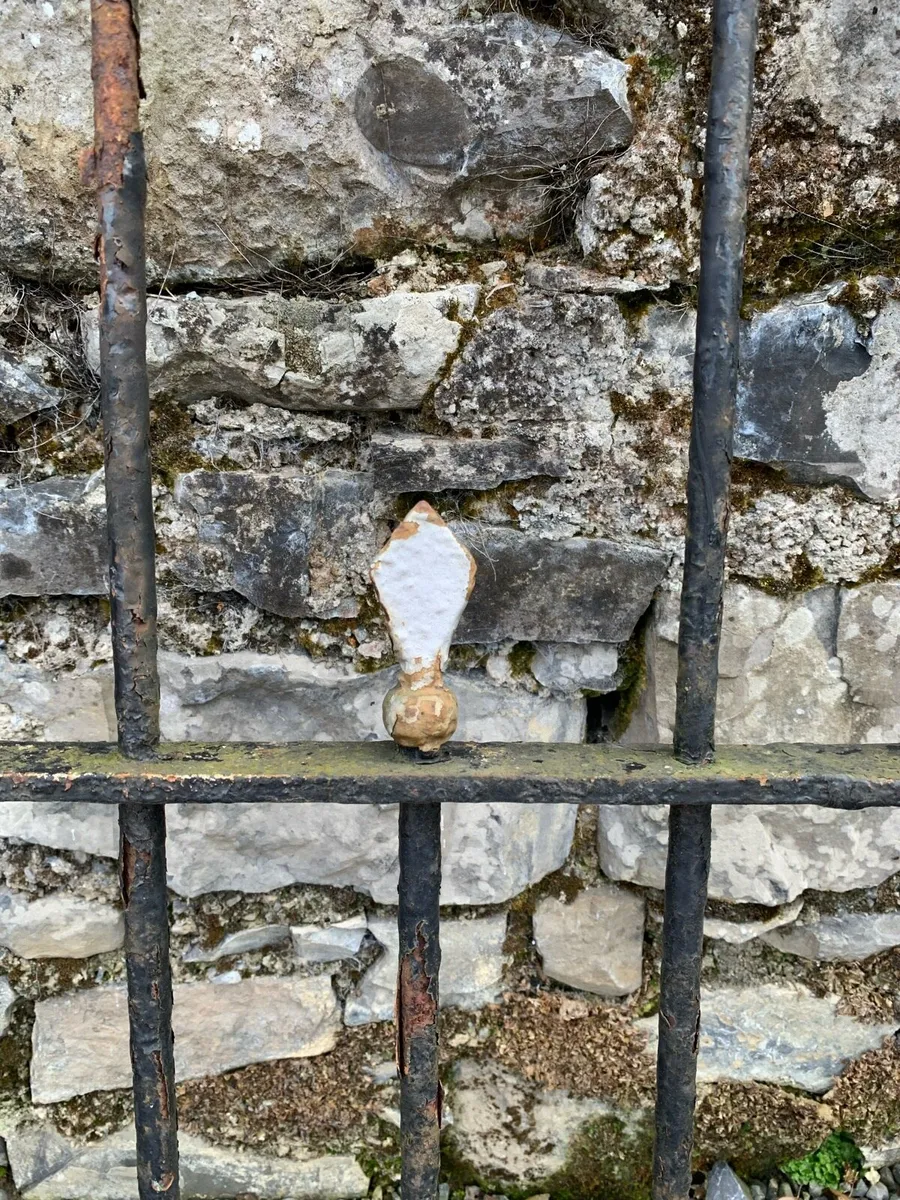 A pair of antique cast iron entrance gates. - Image 2
