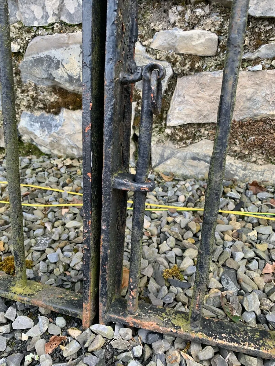 A pair of antique cast iron entrance gates. - Image 4