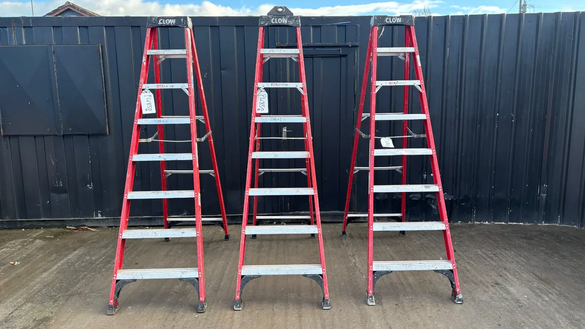 Choice Of Step Ladders - Image 2
