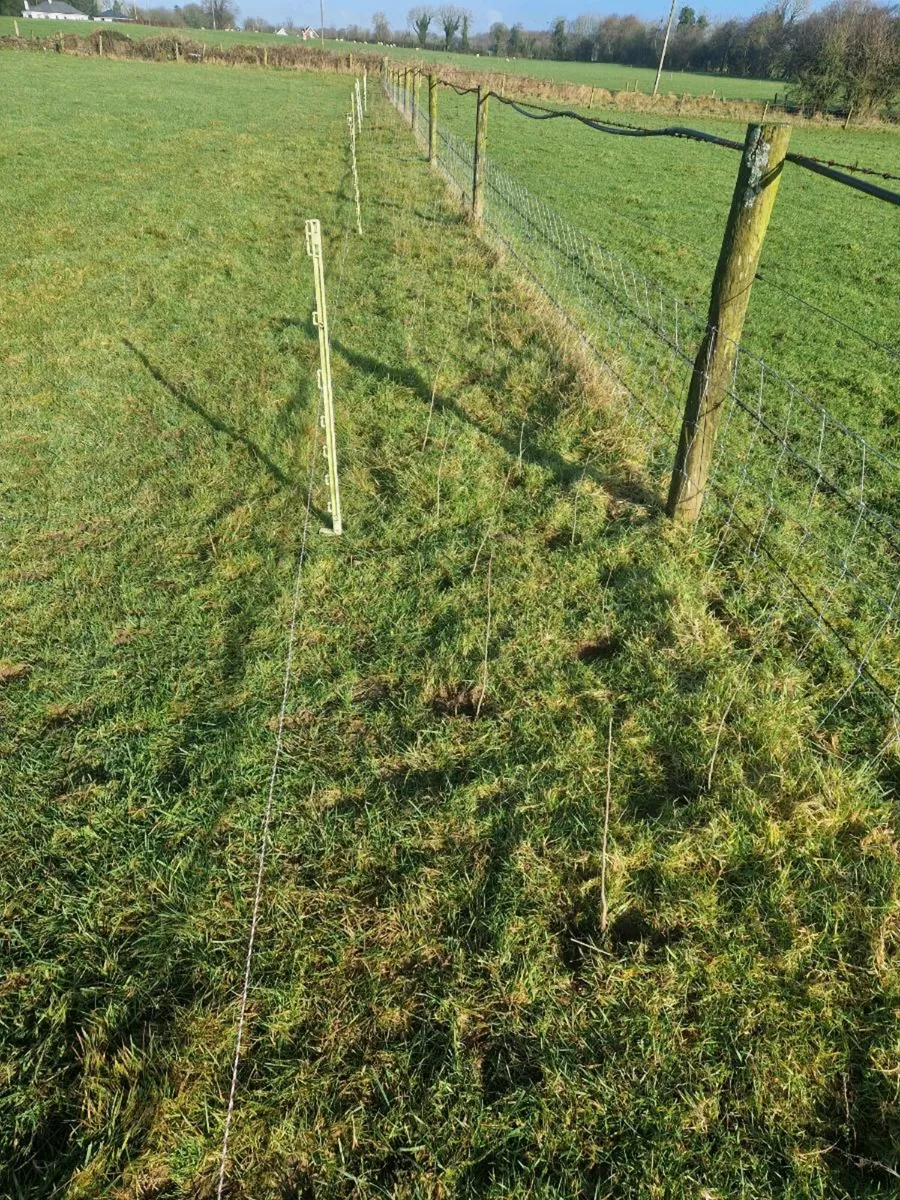 Tree planting - Image 3
